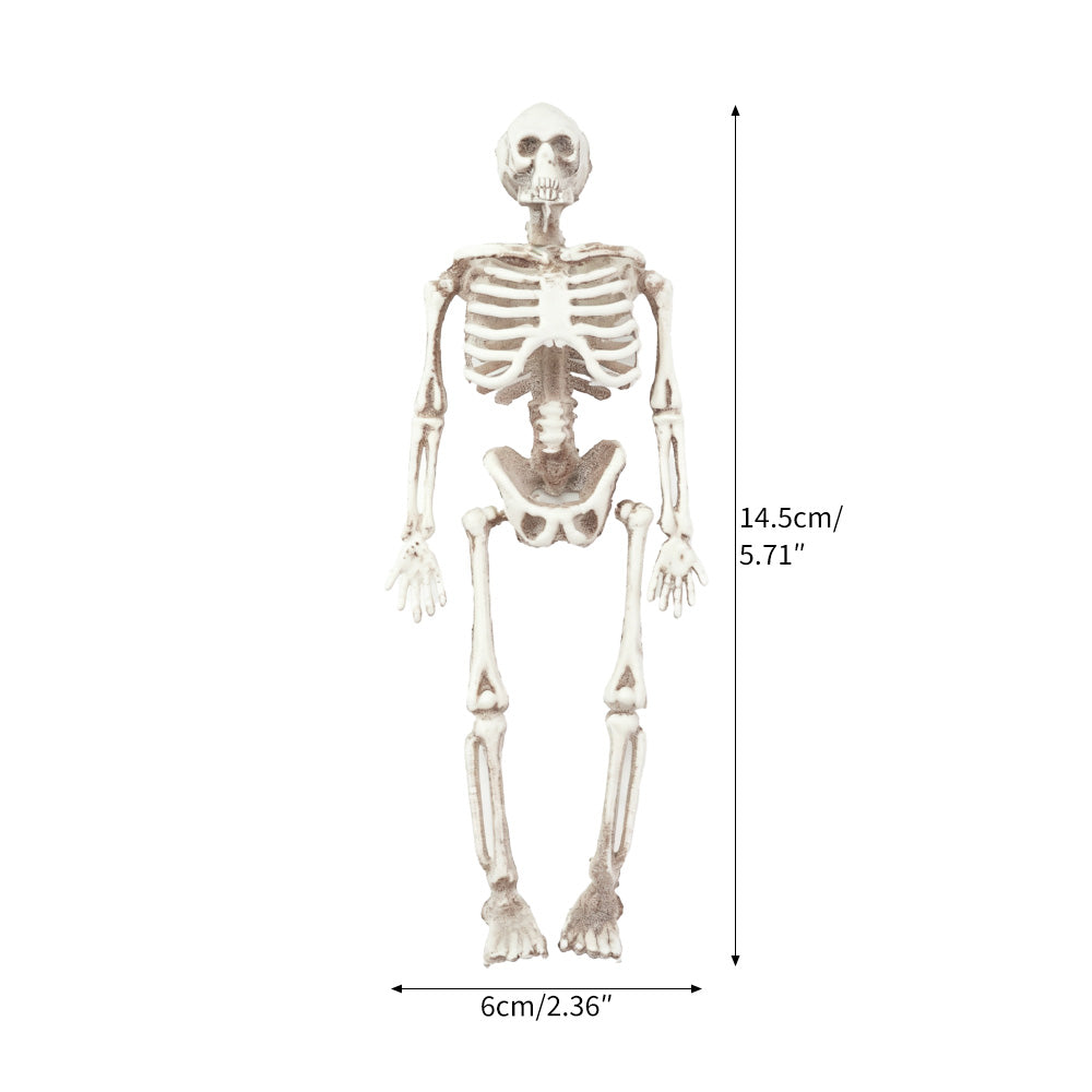 Christmas skeleton room reminder elf prop set with skeleton figure and holiday message card