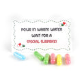 Christmas Surprise Capsule Elf Prop Set